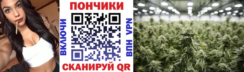 Продажа наркотиков Адыгейск Конопля  Кокаин  Гашиш  АМФЕТАМИН  МЕФ 