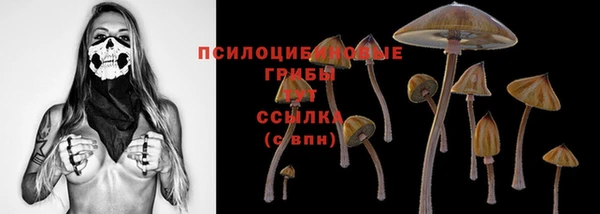 трава Алзамай
