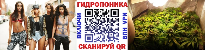 Бошки марихуана марихуана  ссылка на мегу сайт  Адыгейск  мориарти состав  закладка 
